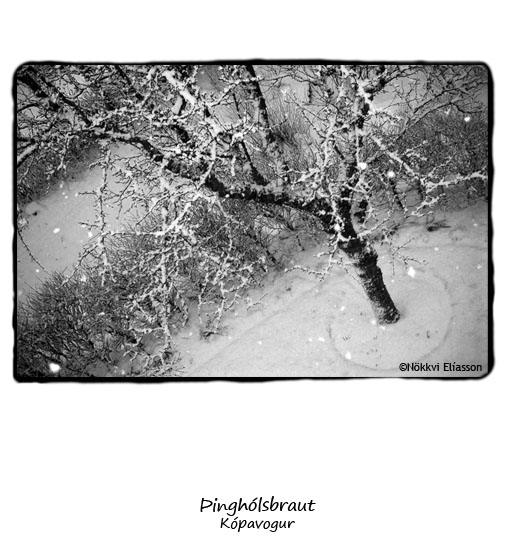From Borgarfj�r�ur eystri