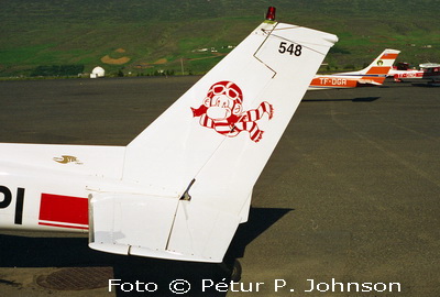 Flughelgi Flugsafnsins 2002. Foto © Pétur P. Johnson.