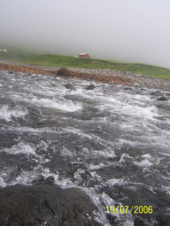Myndur úr vestfjarðarferð 15-23 júlí 2006 (47)