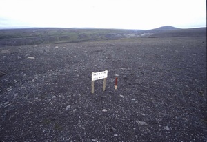 Horft til suðurs í 625 m. Allt þetta svæði framundan fer á kaf ef af virkjun verður.