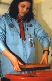 Endurvinnsla á pappír