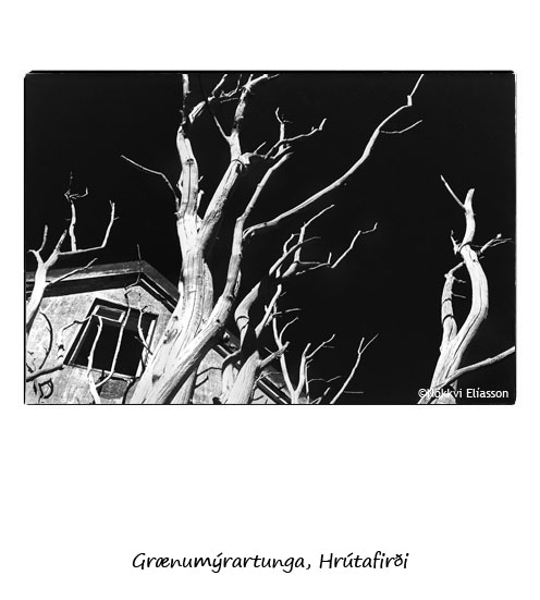 Grnumrartunga in Hrtafjrur